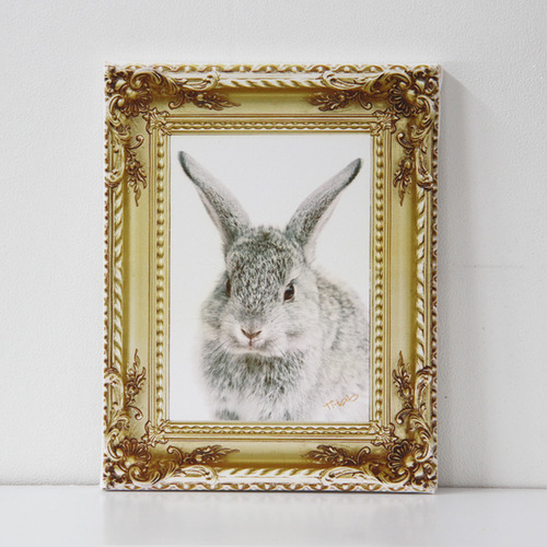 art canvas #T003 - St.Bunny